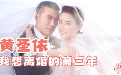 《再见爱人4》大结局：麦琳李行亮HE，黄圣依葛夕选择离婚 (http://www.cstr.net.cn/) wee 第1张