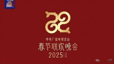 辽视春晚2025：网友期待的跨界创意与明星混搭来袭 (http://www.cstr.net.cn/) wee 第1张