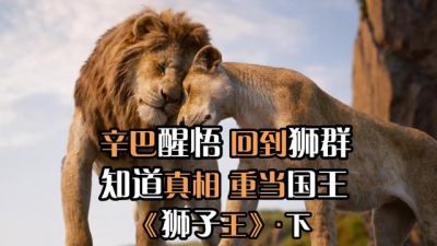 《狮子王：木法沙传奇》影评：探寻流浪幼狮的成长与牺牲 (http://www.cstr.net.cn/) wee 第1张